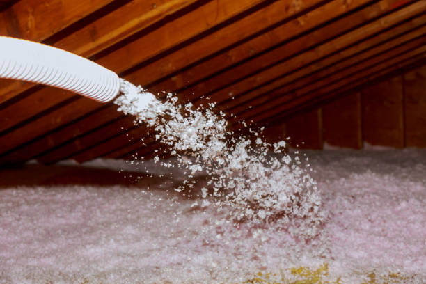 Best Eco-Friendly Insulation in Erma, NJ