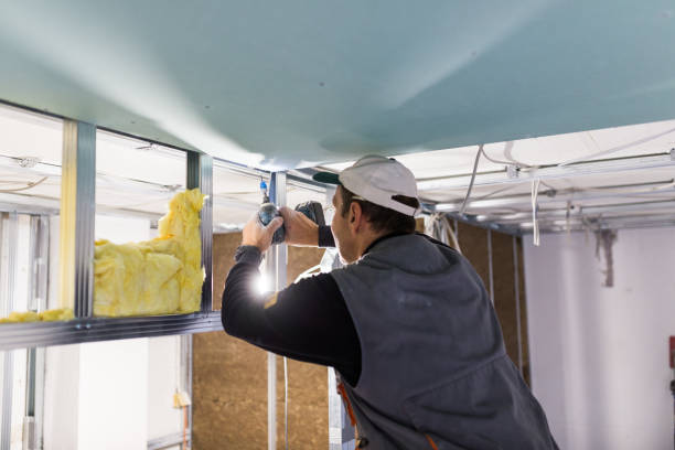 Types of Insulation We Offer in Erma, NJ