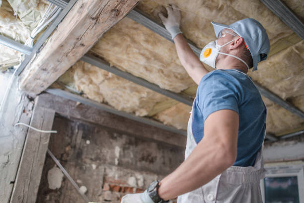 Best Specialized Insulation Services in Erma, NJ